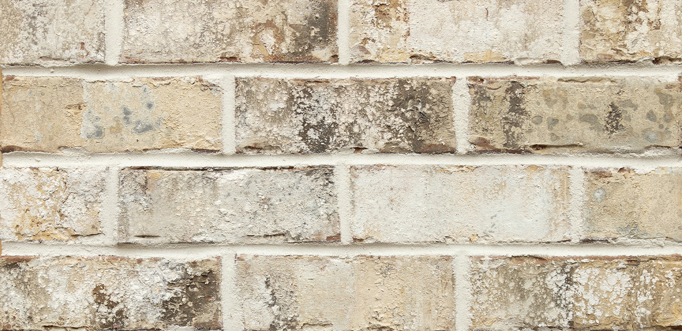 Web-Swatch-WatersEdge.05.2025